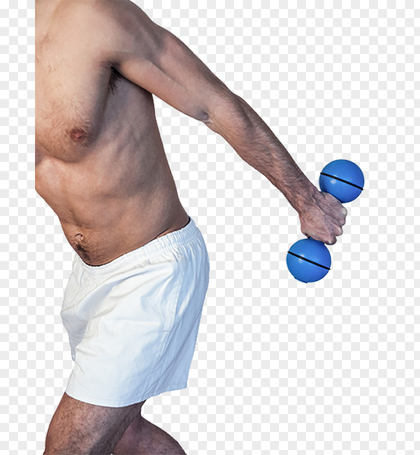 Dumbbells Dumbbell Physical Exercise Biceps Motion PNG