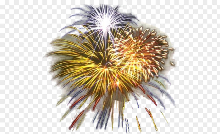 Fireworks New Year's Eve Image Desktop Wallpaper PNG