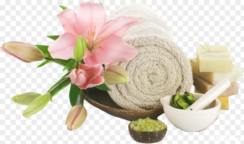 Massage Day Spa Beauty Parlour Facial PNG