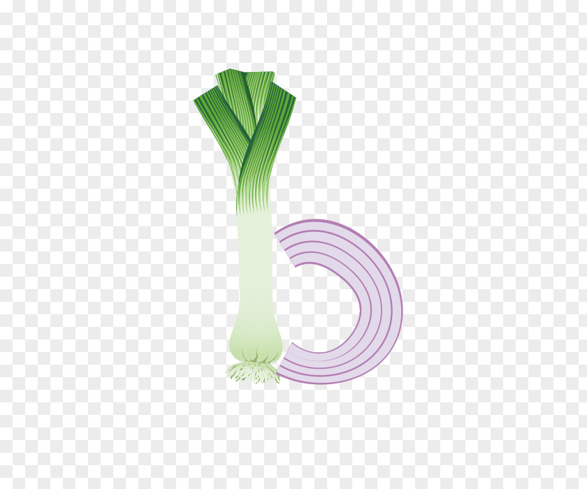 Onion English Alphabet Letter PNG