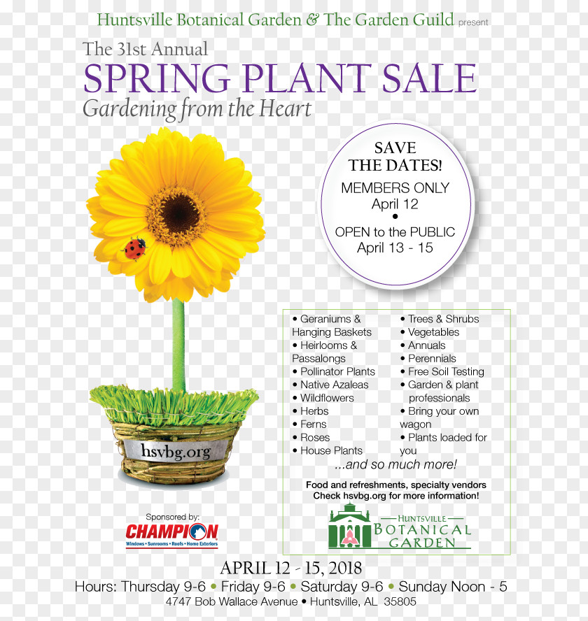 Plant Sale Common Sunflower Pocket Annuals And Perennials Botanica's & Garden PNG