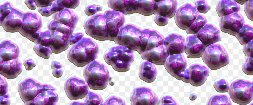 Purple Bacterial Balls Bacteria Gut Flora Probiotic Microorganism Bifidobacterium PNG