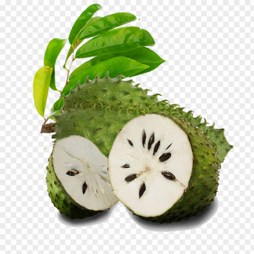 Durian Juice Organic Food Soursop Tropical Fruit PNG