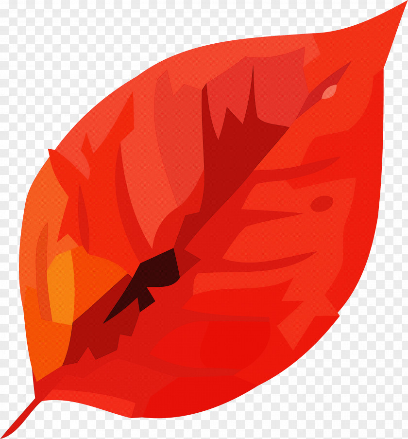 Flower Coquelicot Leaf Petal Red PNG