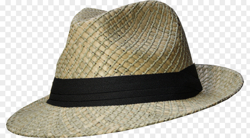 Hat Fedora Barmah Trilby Seagrass PNG