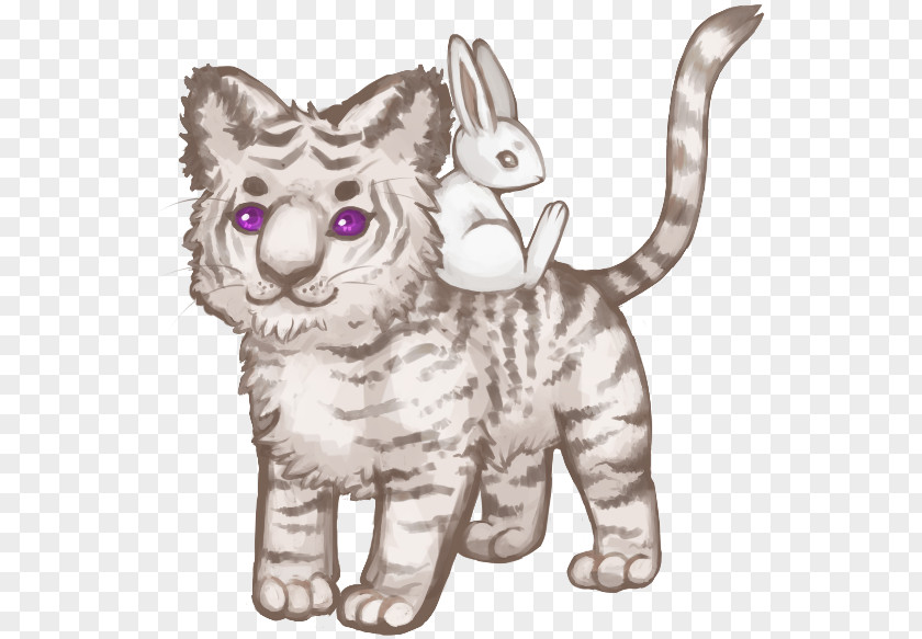 Kitten Whiskers Tabby Cat Doodle PNG