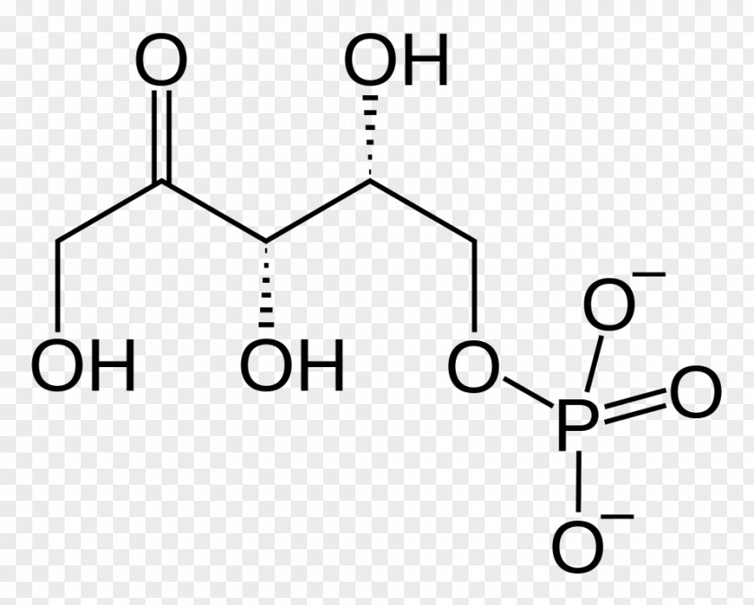 Ribose 5-phosphate Ribulose Beilstein Database Chemistry PNG