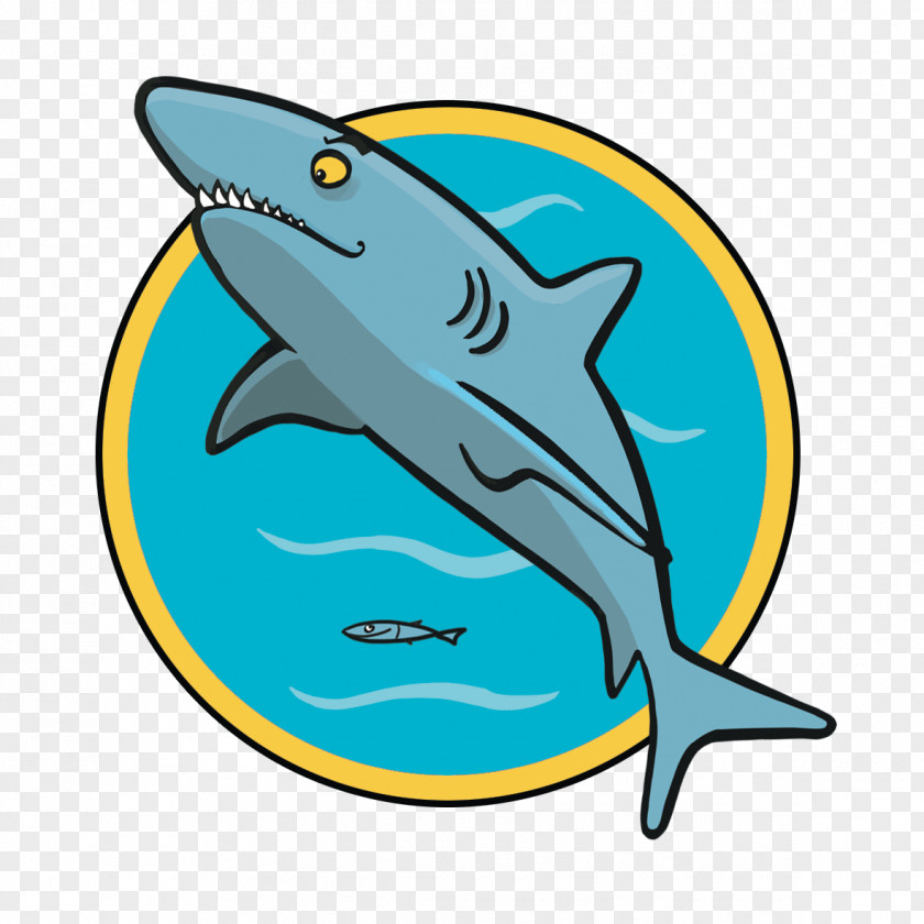 Shark Animal Clip Art Kidsweek Year PNG