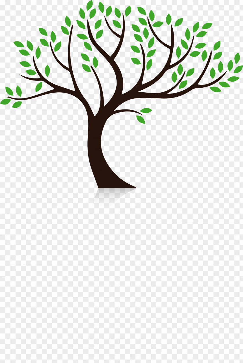 Tree Branch Trunk Clip Art PNG