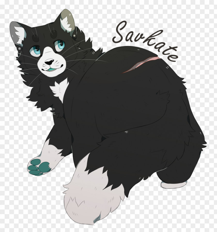 Cat Whiskers Dog Canidae Fur PNG
