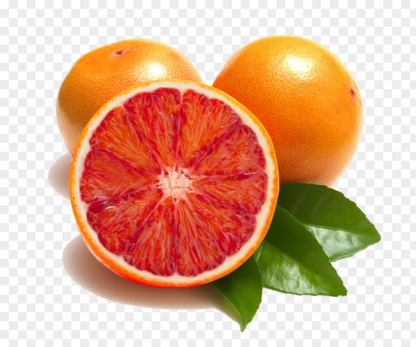 Fresh Fruit Blood Orange Juice Grapefruit PNG