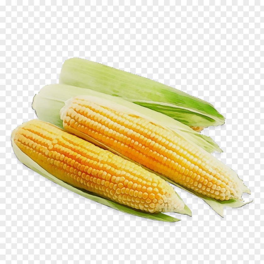 Ingredient Vegetarian Food Corn Kernels On The Cob Sweet PNG