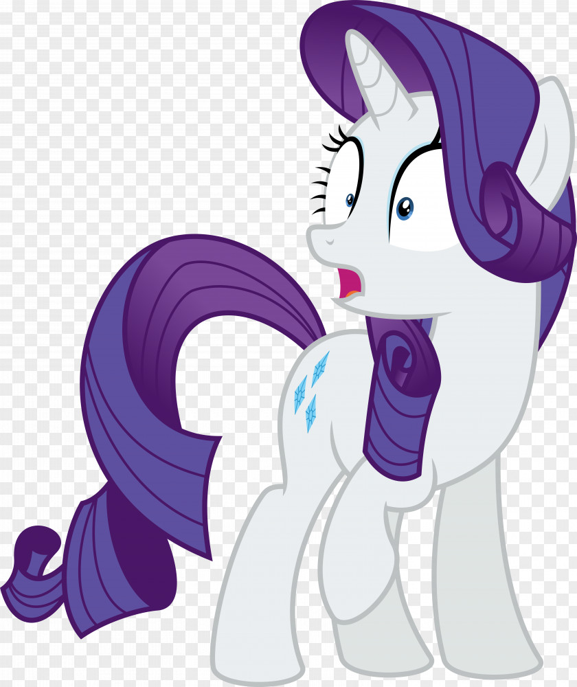 My Little Pony Rarity Spike Rainbow Dash Twilight Sparkle PNG