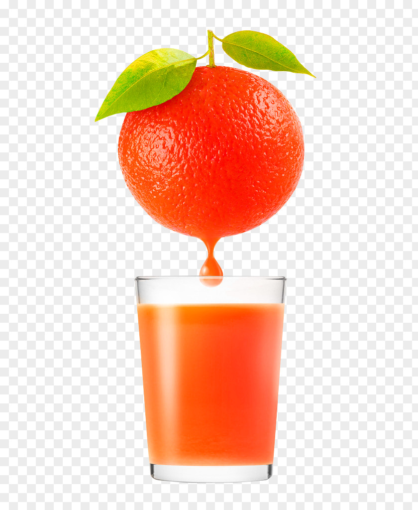 Orange Simple Fruit Juice Decoration Pattern Clementine Blood PNG