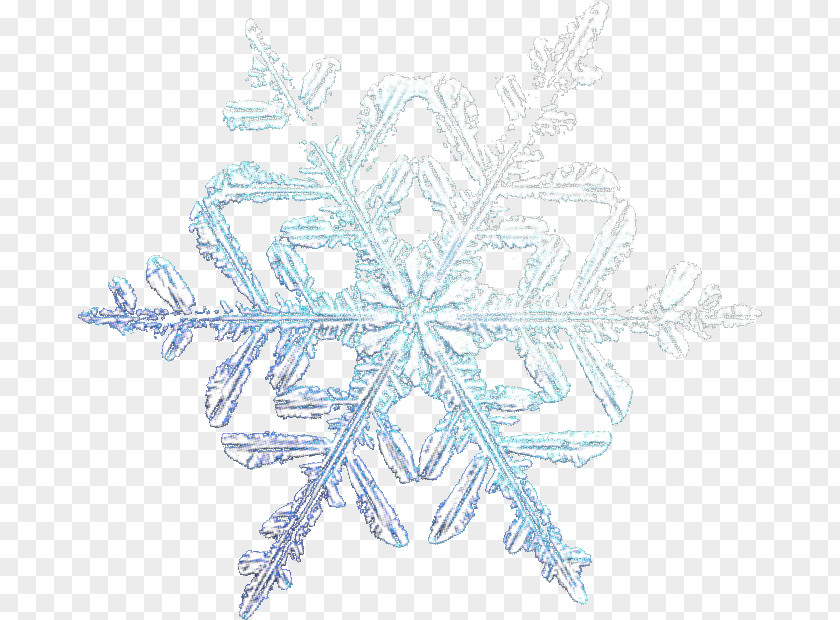 Snowflake Symmetry Line Pattern PNG