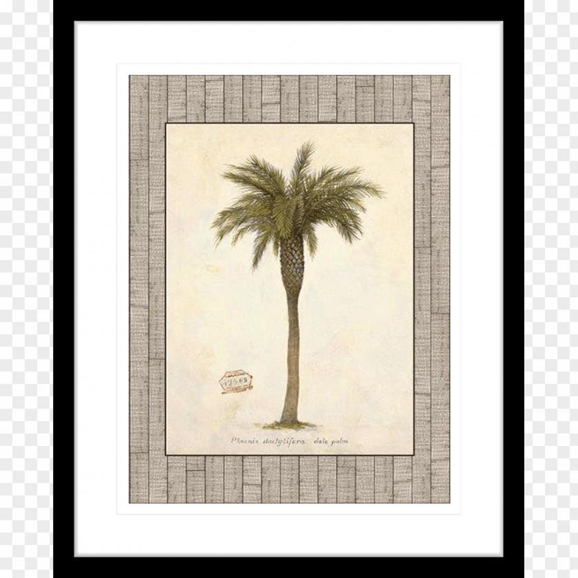 Cat Palm Picture Frames Rococo Tree Work Of Art Deco PNG