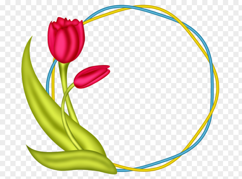 Flower Floral Design Beach Rose Clip Art PNG