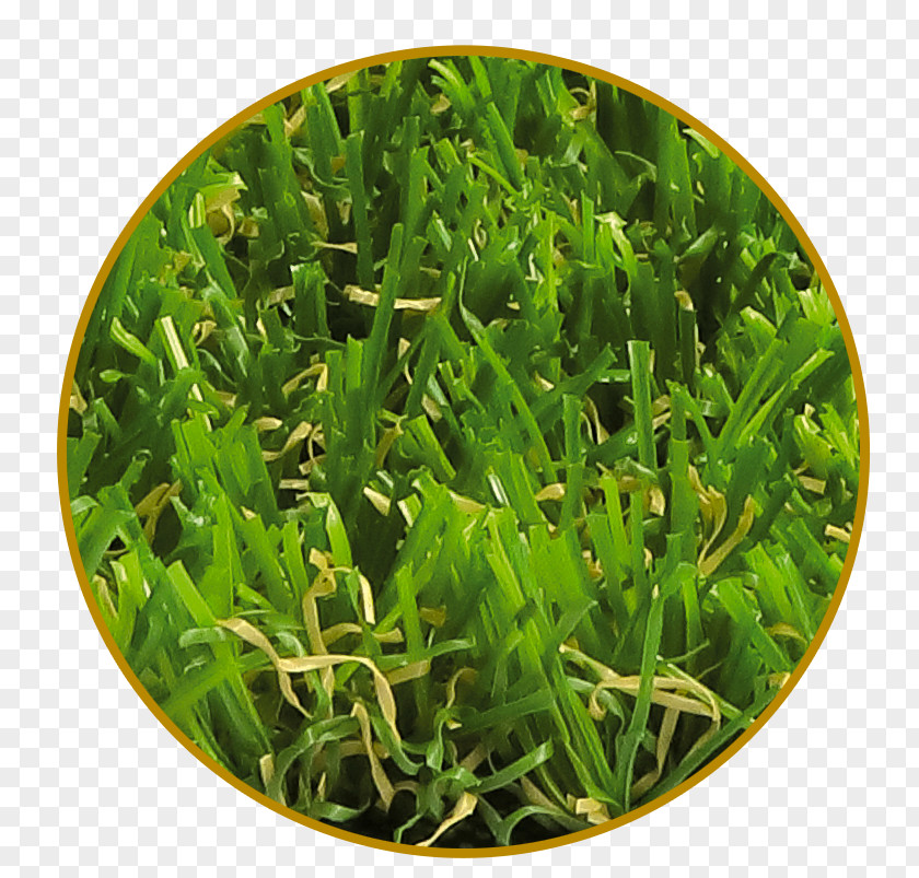 Green Landscape Artificial Turf Garden Lawn Meadow Vegetarian Cuisine PNG