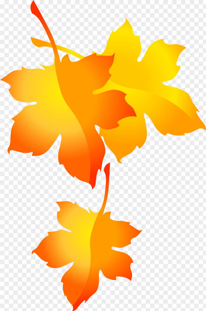 Hand-painted Maple Leaf Pattern Clip Art PNG