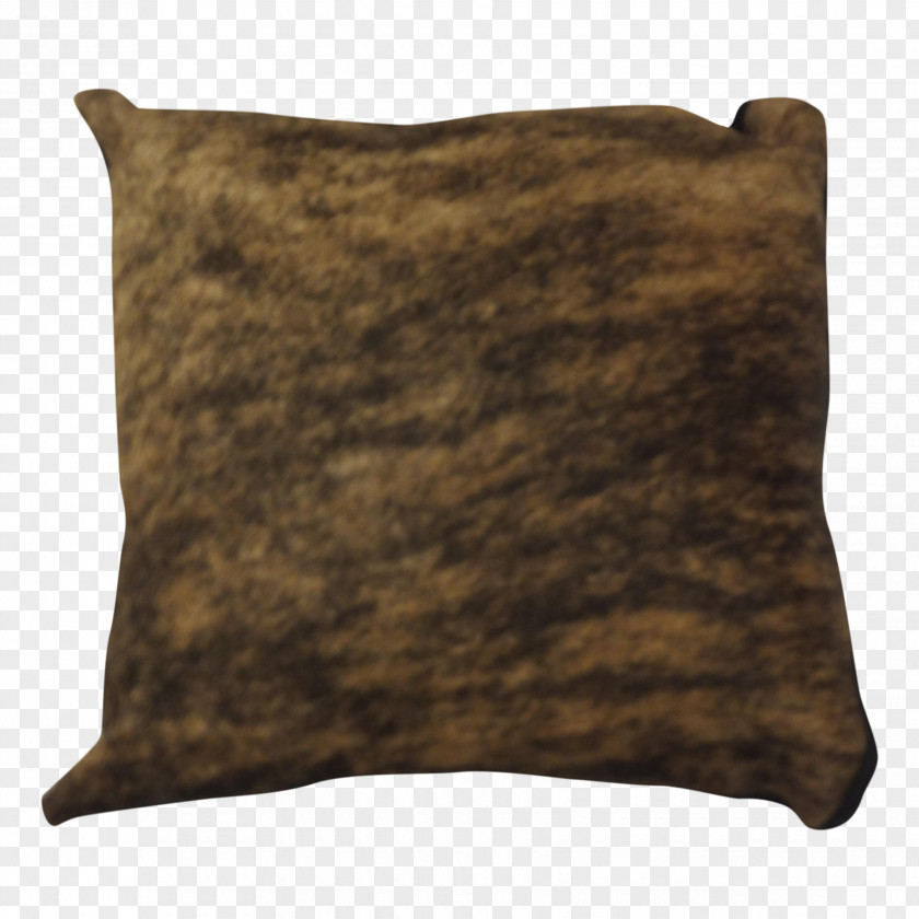 Pillows Throw Cushion Daily Light On The Path PNG