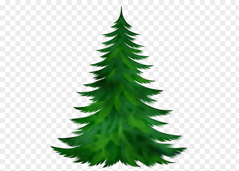 Plant Tree Christmas PNG