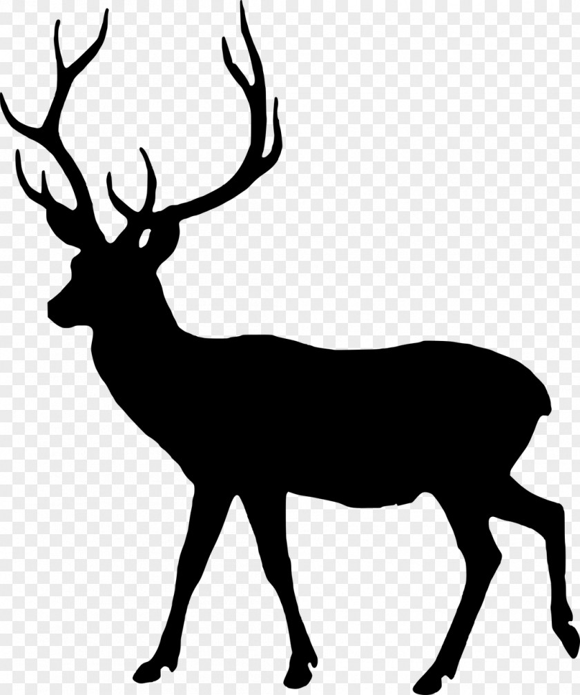 Silhouette Wildlife Reindeer PNG