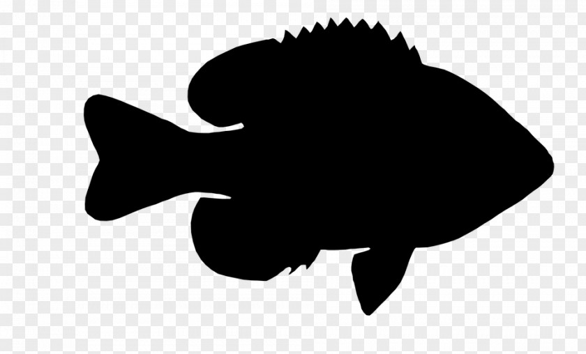 Fish Clip Art Silhouette Black M PNG