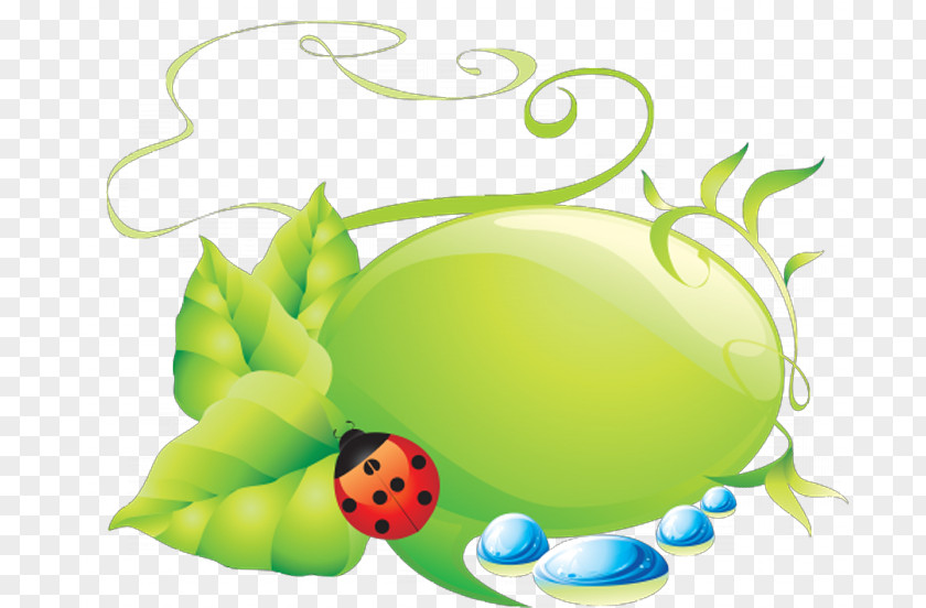 Ladybug Ladybird Clip Art PNG