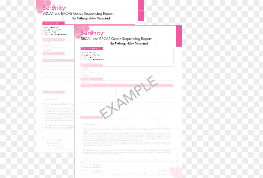 Line Document Pink M RTV Brand PNG