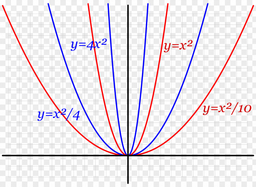 Mathematics Parabola Similarity Point Hyperbola PNG