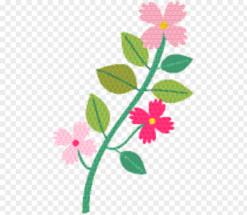 Rosa Dumalis Prickly Rose Pink Flower Cartoon PNG
