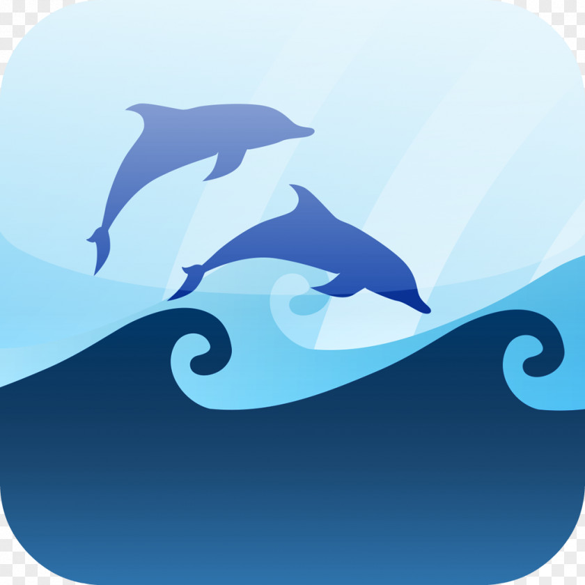 Wave Common Bottlenose Dolphin Wind Seawater Marine Mammal PNG