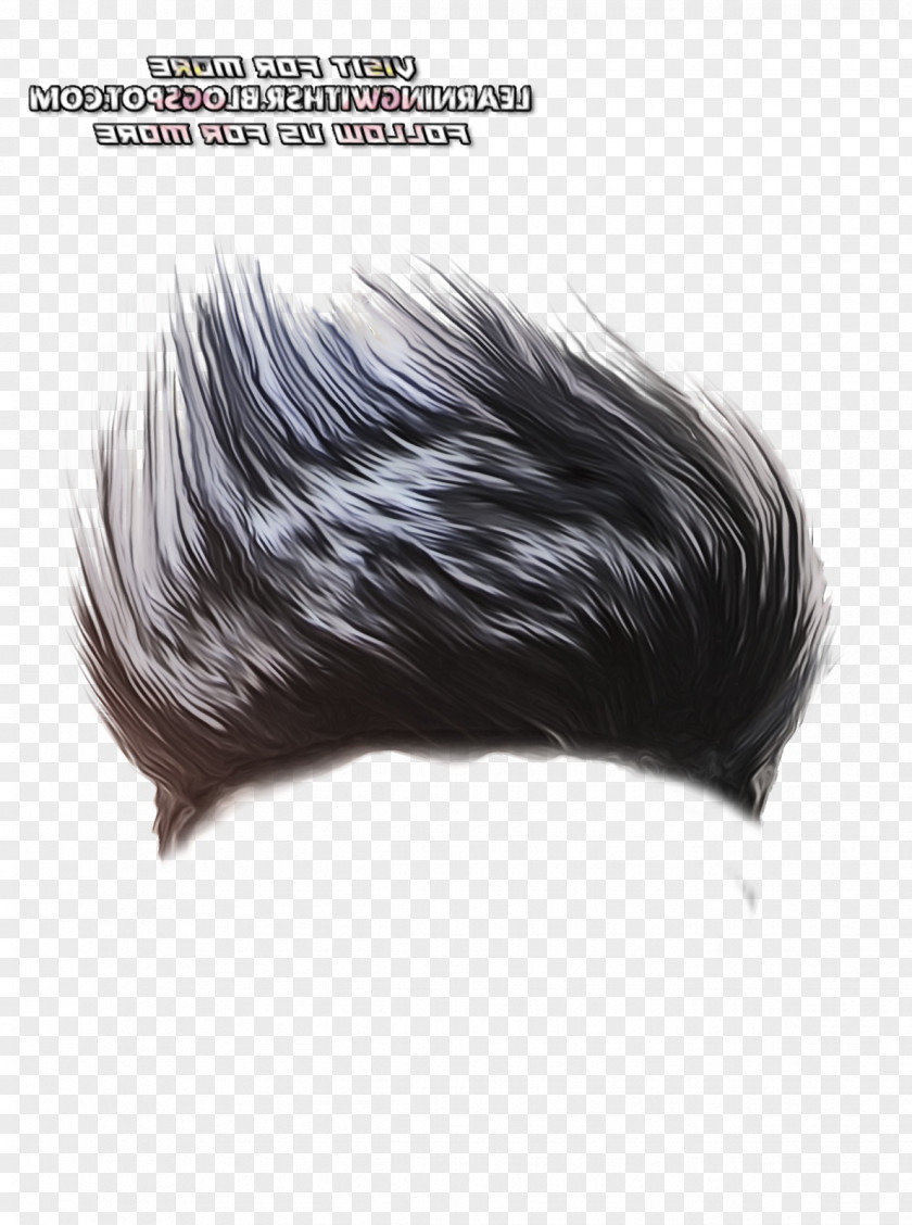 Wig Fashion Accessory Feather PNG