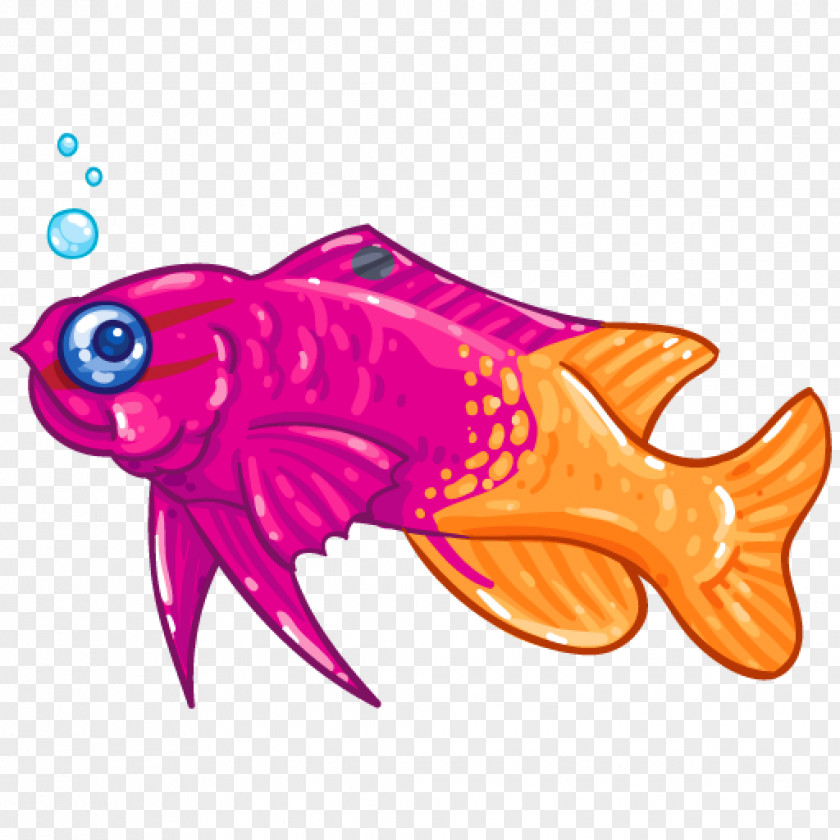 Fish Royal Gramma Marine Biology Clip Art PNG