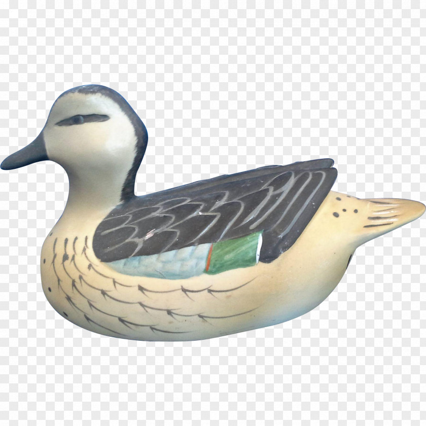 Goose Mallard Duck Teal Fauna PNG