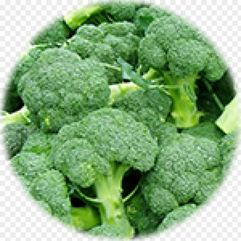 Broccoli Nutrient Protein Food Vitamin Vegetarianism PNG
