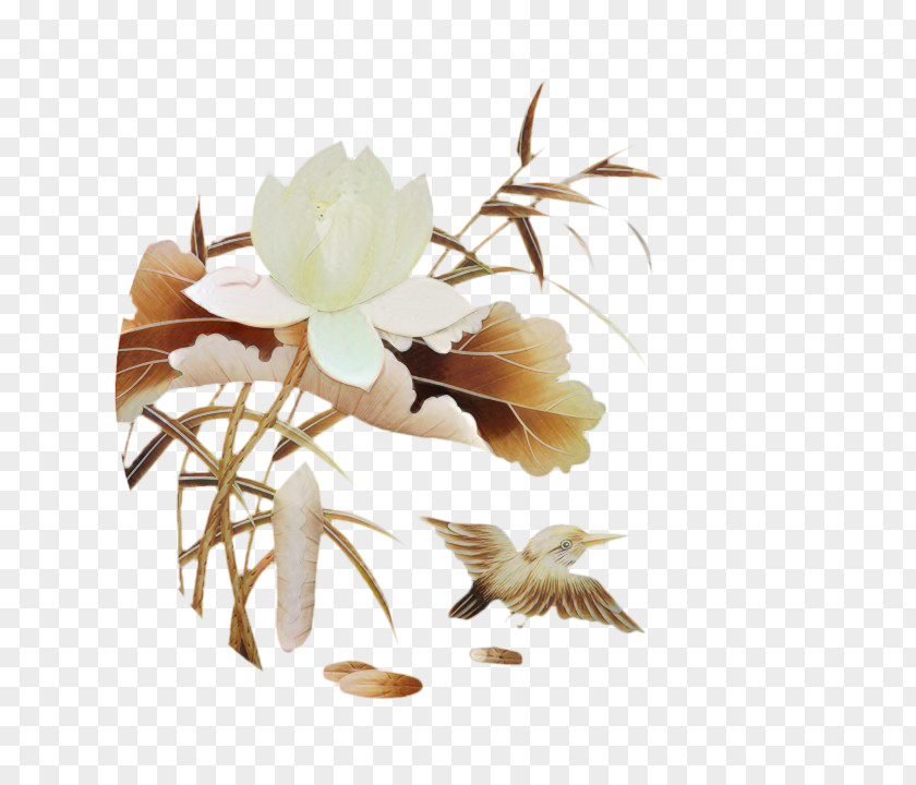 Cut Flowers Flowering Plant Plants Branching PNG