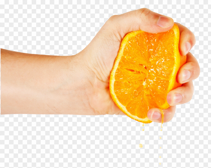 Orange Food PNG