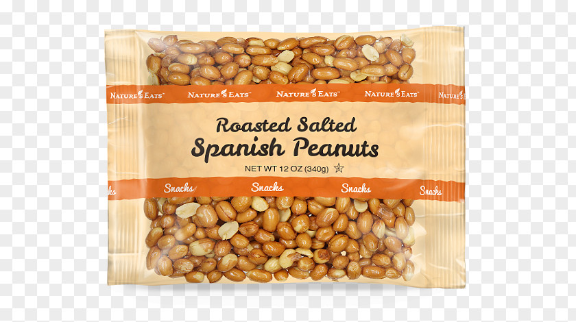 Peanut Kernel Hazelnut Vegetarian Cuisine Bean PNG