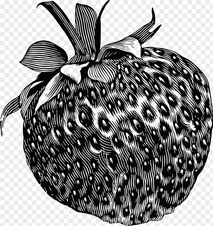 Strawberry Clipart Drawing Fruit Clip Art PNG