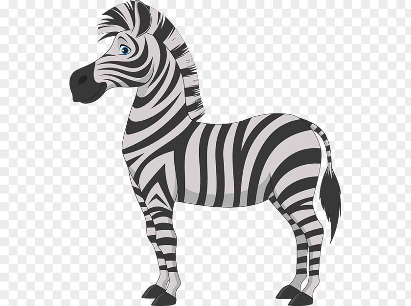 Zebra Cartoon Royalty-free Clip Art PNG