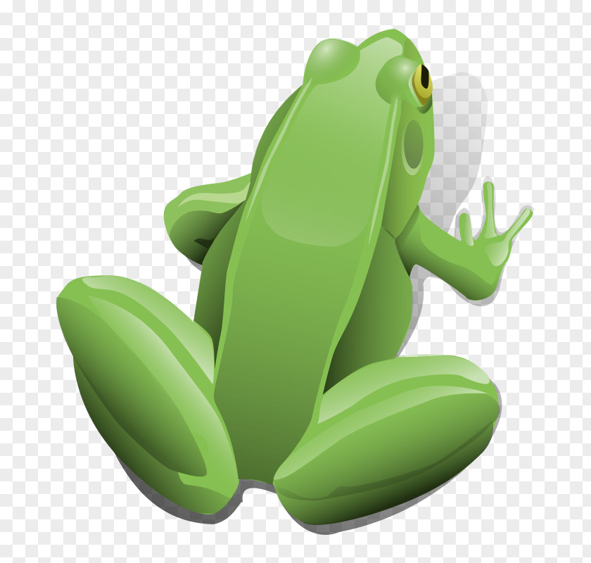 Cartoon Bullfrog Frog And Toad Clip Art PNG