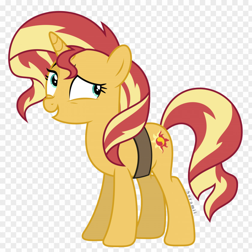 Cloak Vector Sunset Shimmer Twilight Sparkle My Little Pony: Equestria Girls Rarity PNG