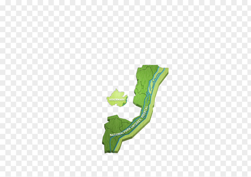 Design Green Shoe PNG