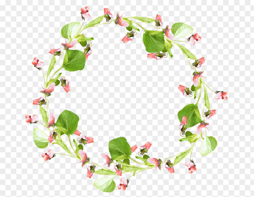 Design Wreath Garland PNG