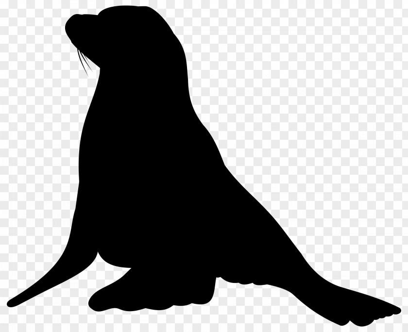 Sea Lion Dog Mammal Canidae PNG