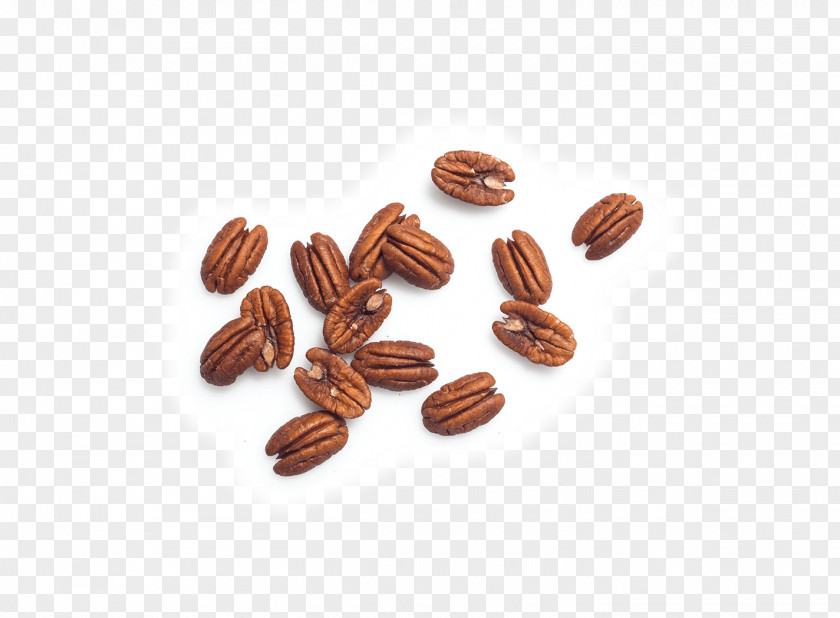 Almond Pecan Strudel Nut Breakfast Food PNG