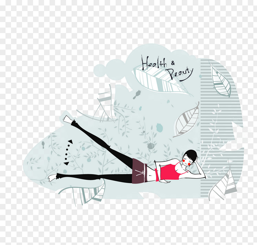 Korea Yoga Illustration Six Photography PNG