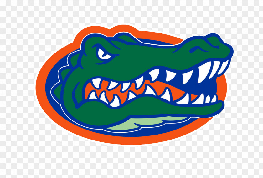 Private Message Starting Confessions Florida Gators Football Ben Hill Griffin Stadium Men's Basketball Softball Tennis PNG