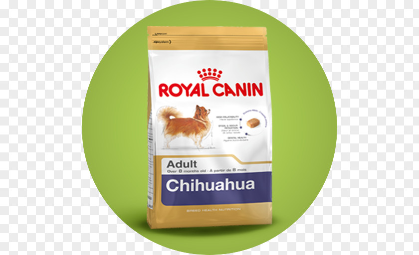 Puppy Chihuahua Dog Food Cat Royal Canin PNG
